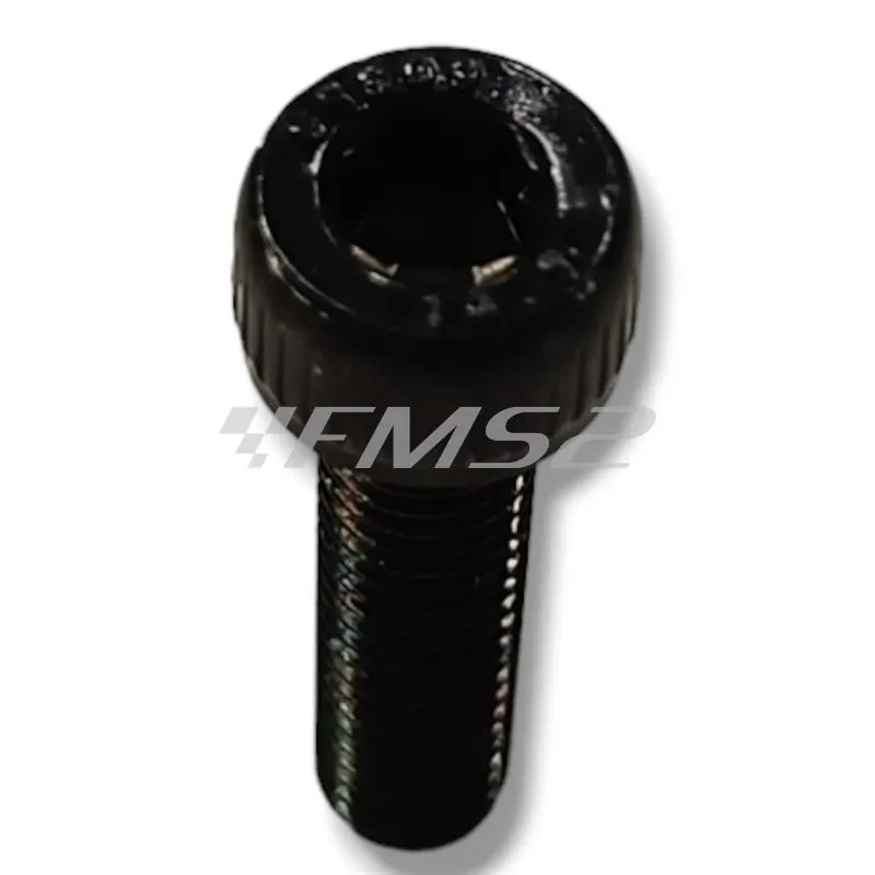 74913800 Vite testa cilindrica bombata M5x20 (Malaguti)
