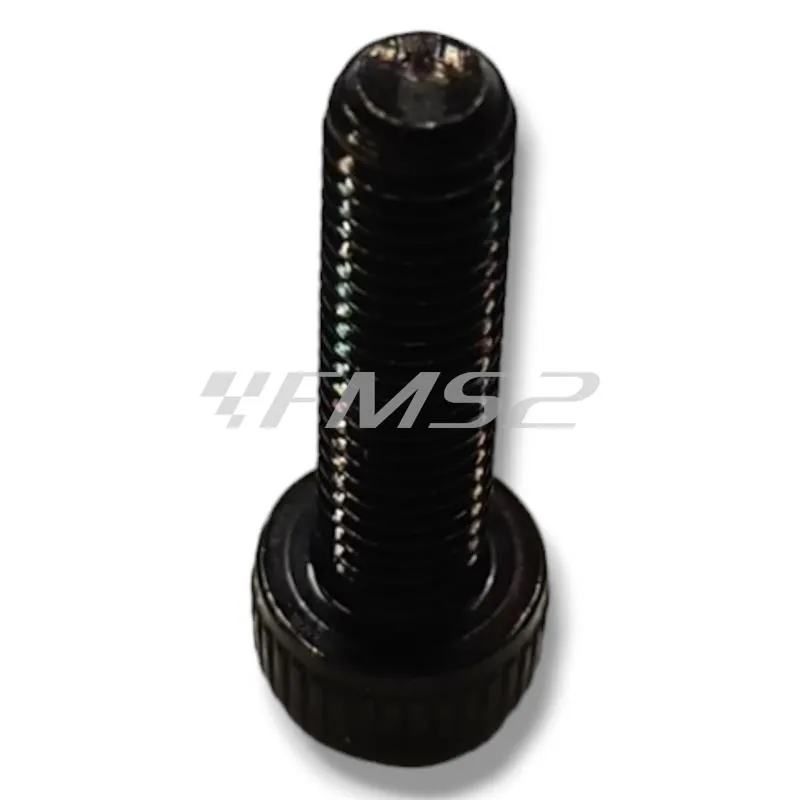 74913800 Vite testa cilindrica bombata M5x20 (Malaguti)