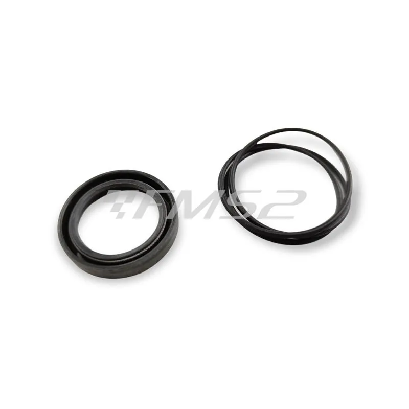 08856 Serie paraolio motore e carburatore 125 (Mentasti Ariete)