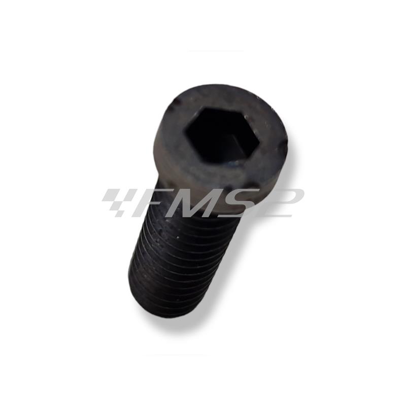 Collettore aspirazione Malossi diametro 26x35 mm inclinato in alluminio per motori Minarelli AM6, ricambio 0212273B