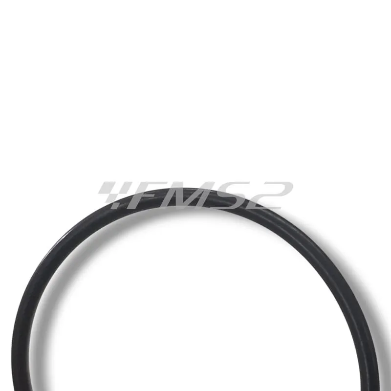 Guarnizioni OR per raccordo scarico, ricambio 1116137