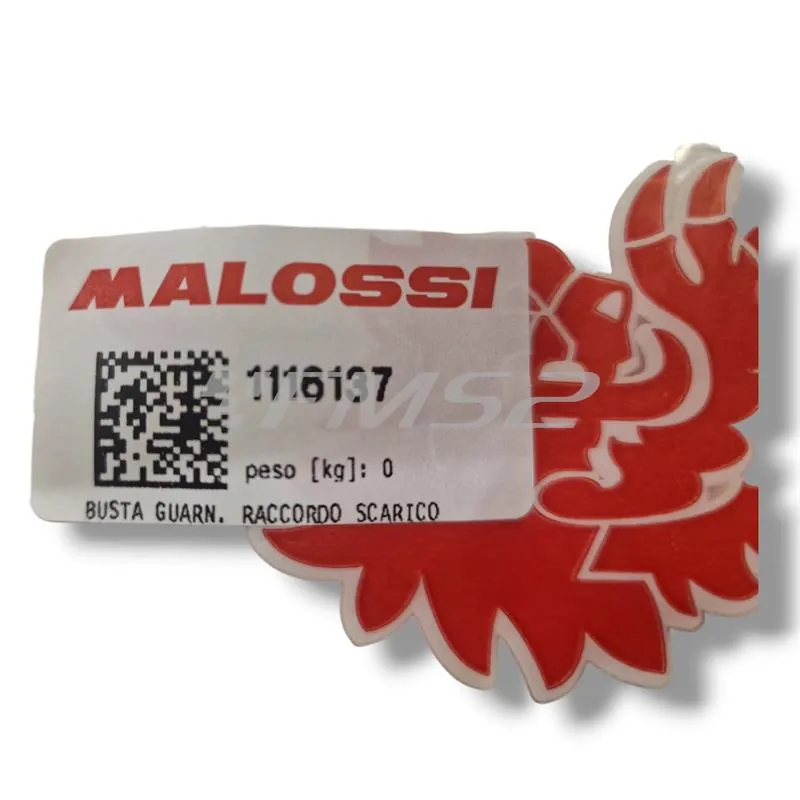 Guarnizioni OR per raccordo scarico, ricambio 1116137