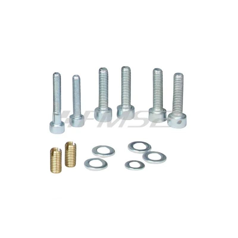 Viti per impianto lamellare vespa px-t, ricambio 1915596