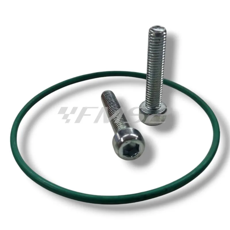 Fondello posteriore in alluminio per silenziatore diametro 60 mm Malossi lato uscita beccuccio scarico completo di O-Ring viton verde e viti di fissaggio M5x25 mm, ricambio 2519783