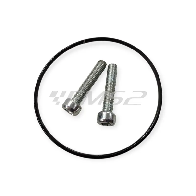 2519784 Fondello anteriore in alluminio per silenziatore Ø60 mm Malossi – Compatibile con scarichi Malossi 2T