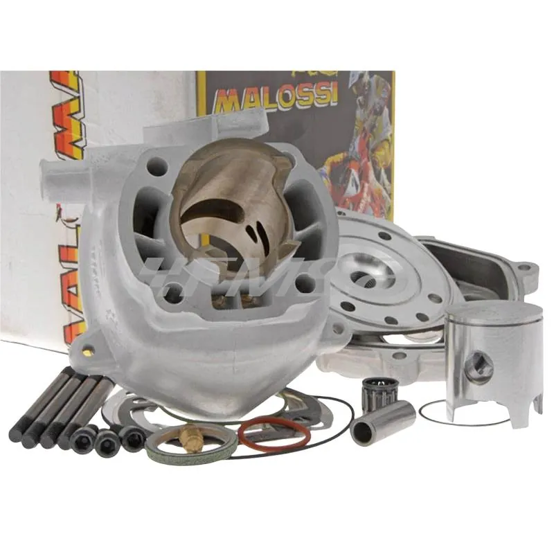 Motore gruppo termico Mhr team v6 travasi  Malossi, ricambio 3111511