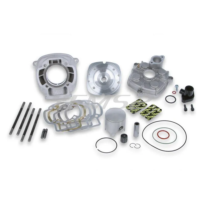 Motore gruppo termico Malossi MHR Team Factory, 7 travasi diametro 47,6 velocità testa scomposta, lavorato dai tecnici Malossi Race Team, ricambio 3112099T0