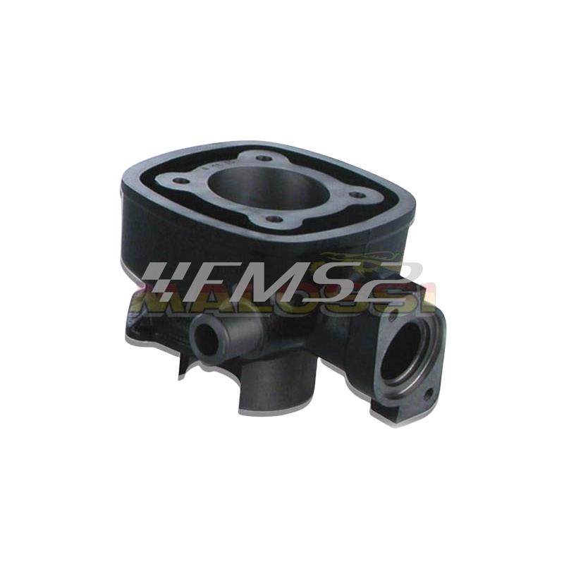 Motore gruppo termico 47 mm ghisa spinotto 12 mm acqua acqua Malossi, ricambio 3112501