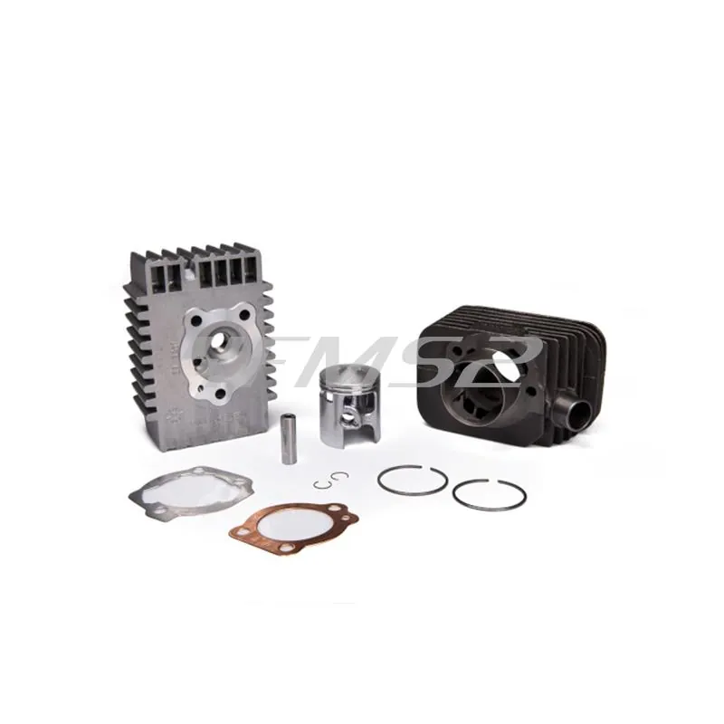 Gruppo termico malossi  43 ghisa sp.  10 base per si ricambio 3118567