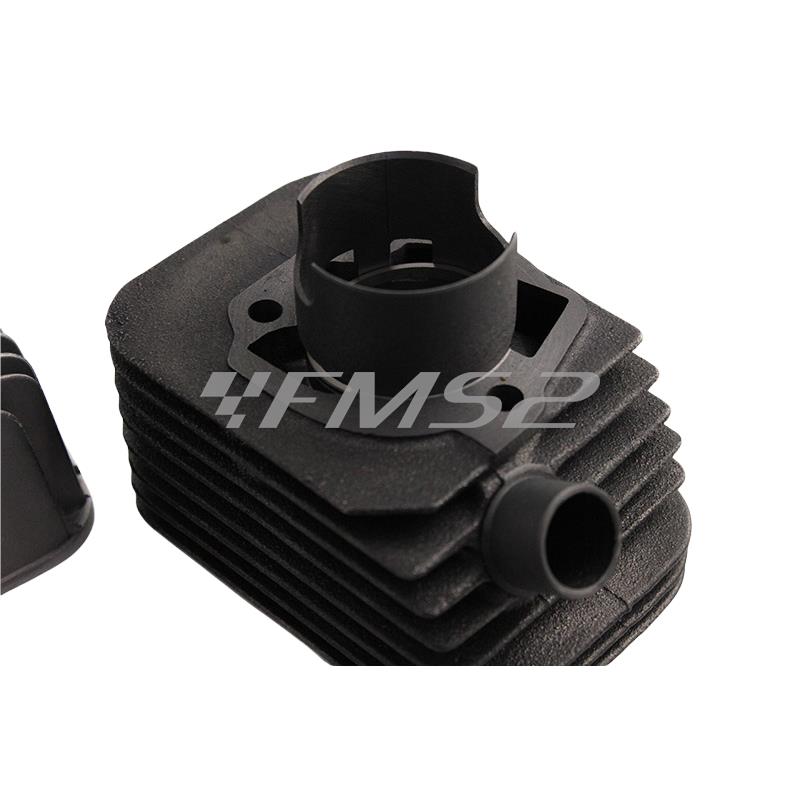 Motore gruppo termico diametro 43 ghisa spinotto 12 mm base+cvf Malossi, ricambio 315117