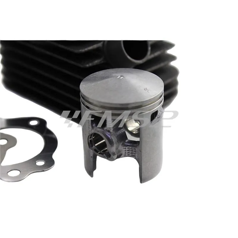 315117 Motore gruppo termico diametro 43 ghisa spinotto 12 mm base+cvf Malossi