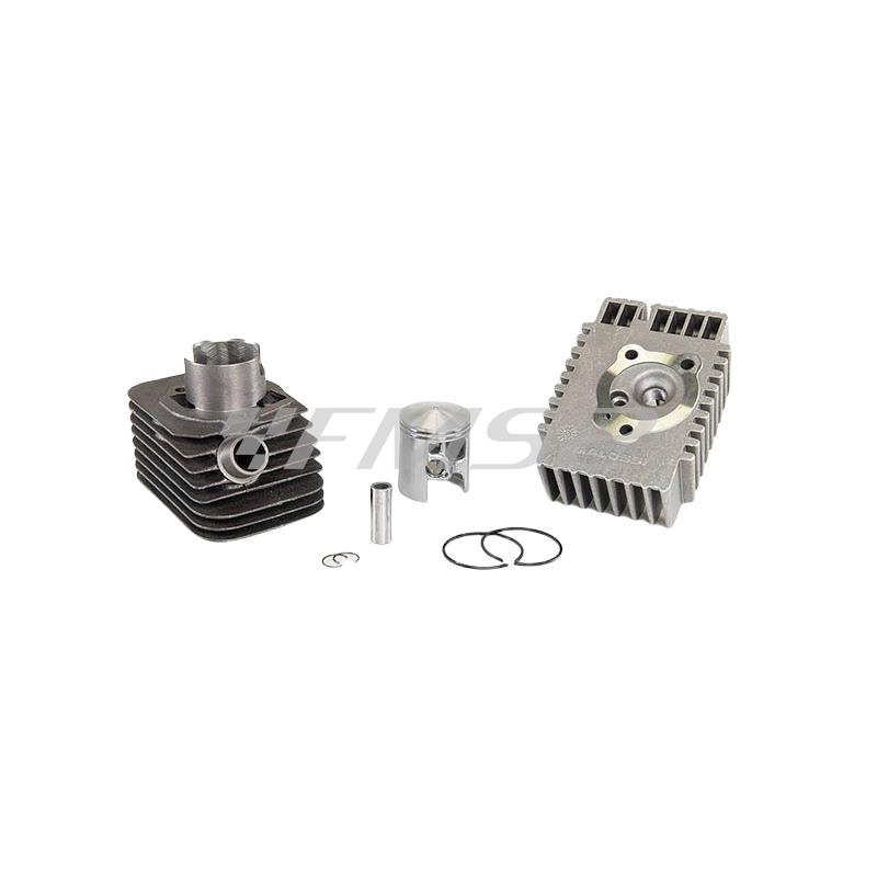 Motore gruppo termico diametro 43 ghisa spinotto 12 mm base e cvf Malossi, ricambio 315491