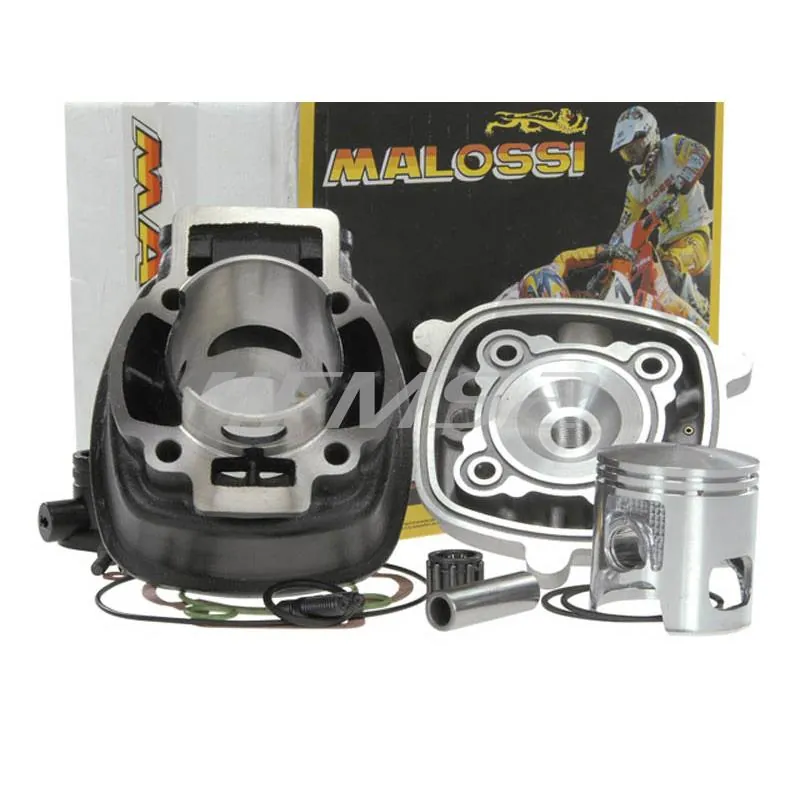 Motore gruppo termico diametro 47 ghisa spinotto 12 mm scooter piaggio a liquido Malossi, ricambio 317353