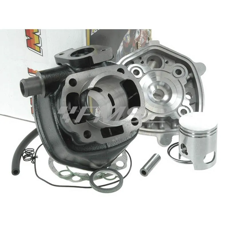 Motore gruppo termico diametro 40 mm (cilindrata 50 cc) ghisa spinotto 10 mm raffreddamento a liquido (Malossi), ricambio 318556