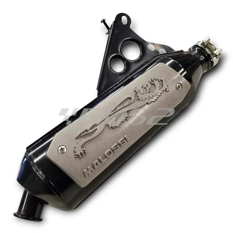 327261 Marmitta Malossi wild lion per scooter