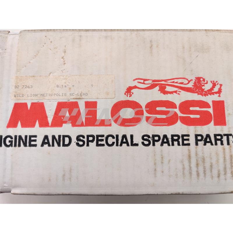 Marmitta wild lion per Peugeot metropolis Malossi, ricambio 327263