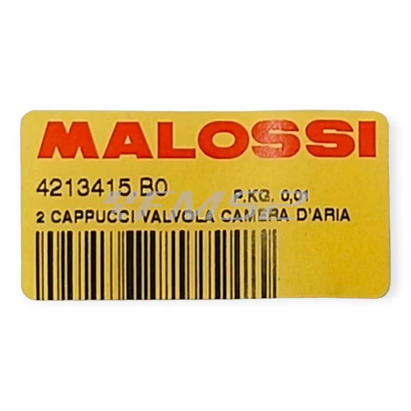 4213415.B0 2 cappucci valvola tubeless o camera d'aria per tutti i modelli di ruote montate su veicoli a 2, 3 4 ruote 2 e 4 tempi 