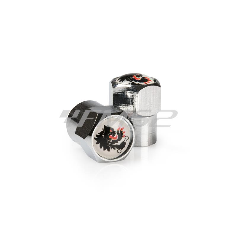 2 cappucci valvola camera d'aria bianchi, ricambio 4213415W0