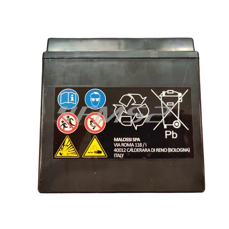 4418923 Batteria Malossi modello MTX14-BS sigillata in gel senza manutenzione e già attivata e pronta all'uso