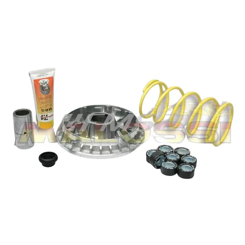 Variatore multivar 2000 maxi scooter Malossi, ricambio 5111389