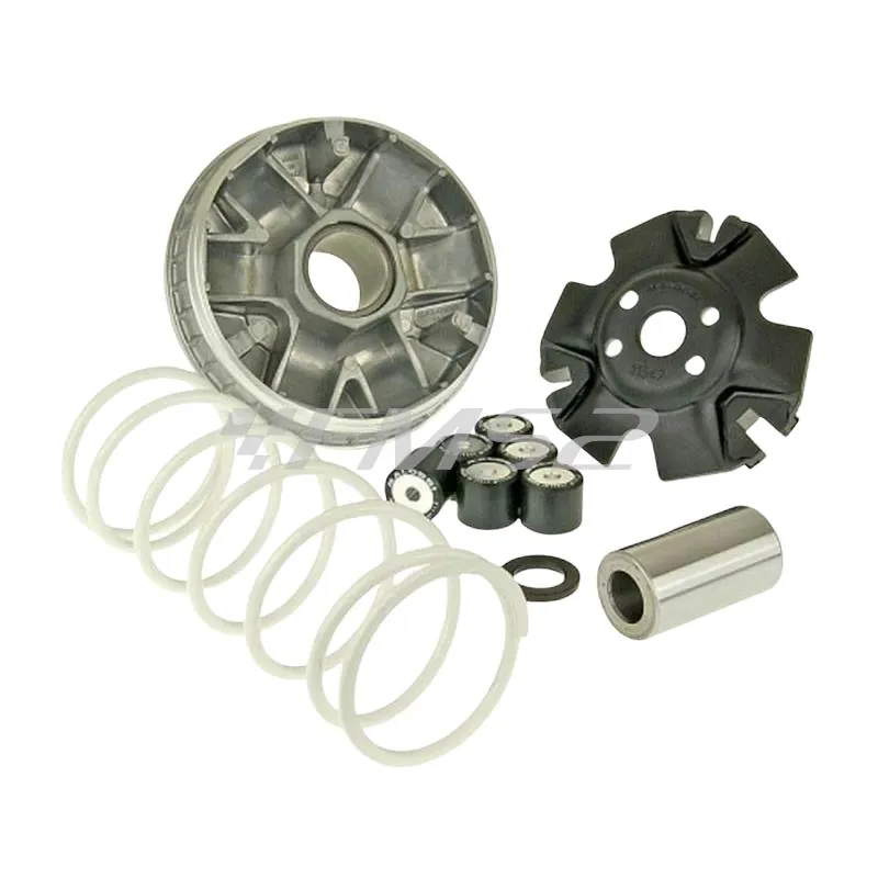 Variatore multivar 2000 maxi scooter Malossi, ricambio 5111545