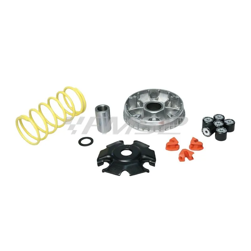 Variatore multivar 2000 maxi scooter Malossi, ricambio 5112118