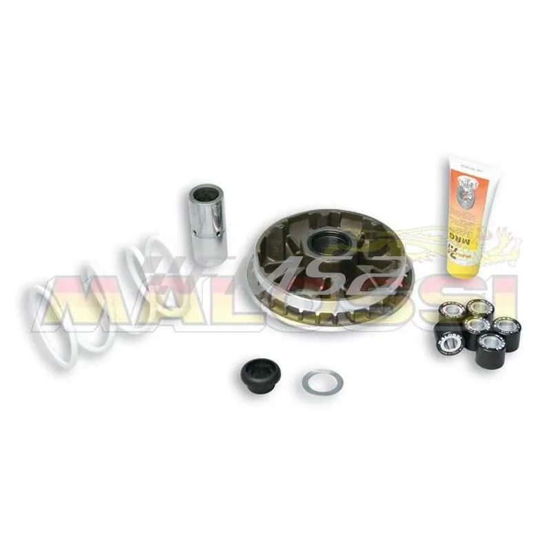 Variatore Malossi multivar 2000 mhr, ricambio 5114192