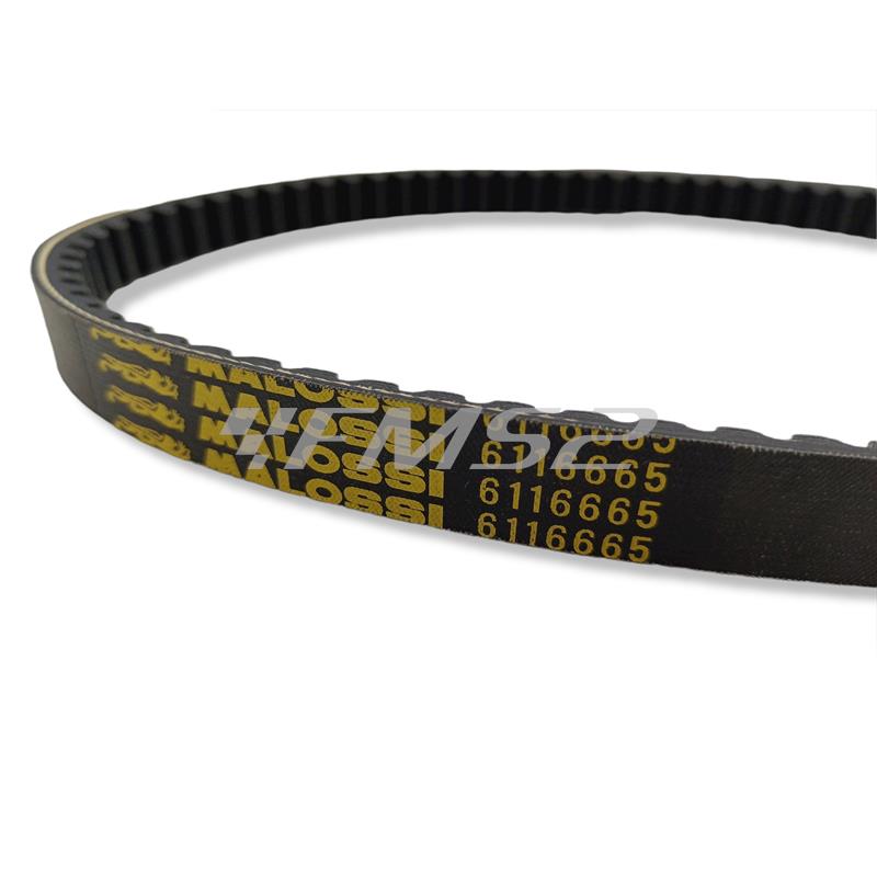 X k belt per maxi scooter (20x9,5x795,5, ricambio 6116665
