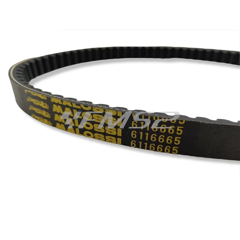 6116665 X k belt per maxi scooter (20x9,5x795,5