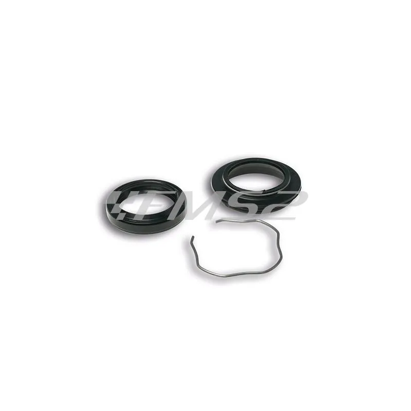 Kit paraolio / parapolvere Malossi, ricambio 6611689