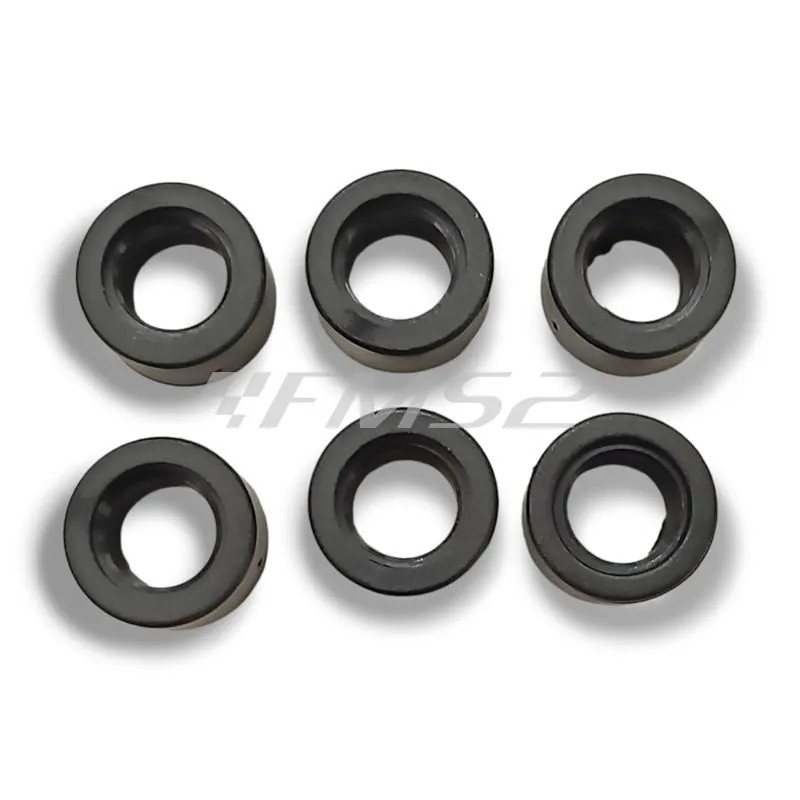 Kit rulli Malossi diametro 17x12,3  con peso da 7,0 grammi, ricambio 669999G0