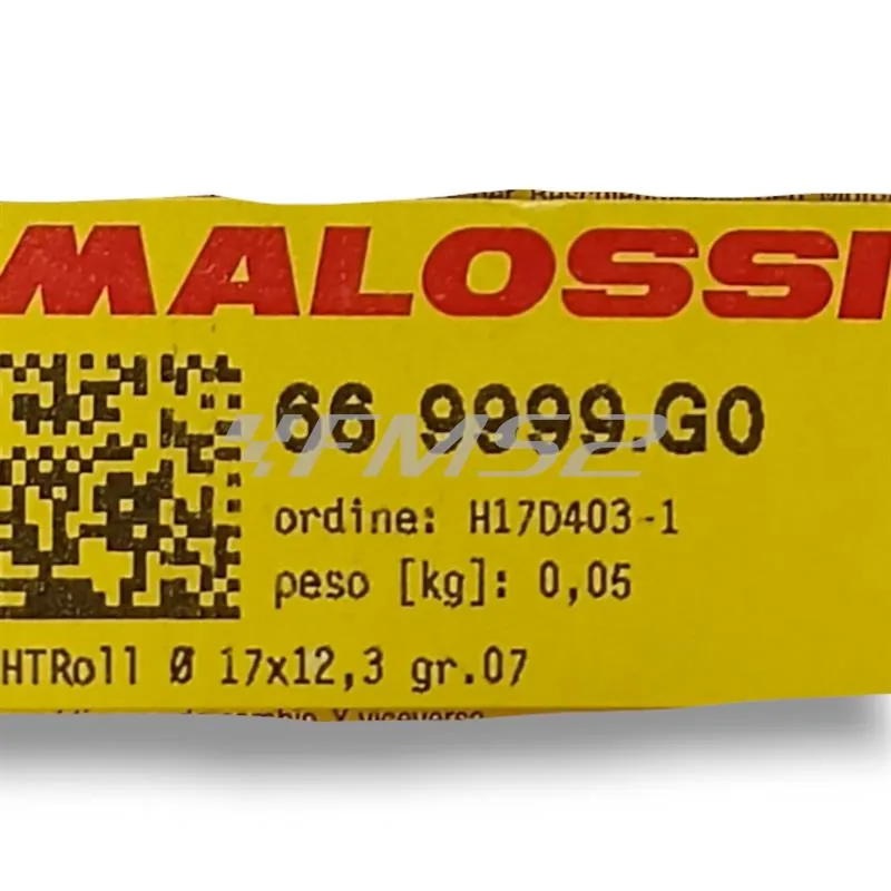 Kit rulli Malossi diametro 17x12,3  con peso da 7,0 grammi, ricambio 669999G0