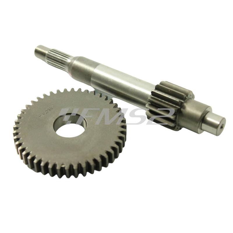 Rapporti primari z15-44 Malossi, ricambio 6711802