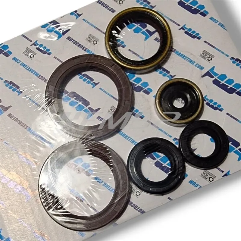 Serie paraoli motore doppio labbro SKF per Ktm EXC/SX 125 1998–2016, SX 150 2009-2015, EXC 200 2002-2016, Husqvarna TC/TE 125 2014-2016 e Husaberg TE 125 2011-2014, ricambio GU84134T