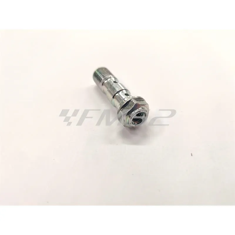 Vite fissaggio raccordi freno idraulico passo lungo per doppio raccordo con passo 10x1,25 e attacco vite spurgo in metallo lucido, ricambio 06GS2365
