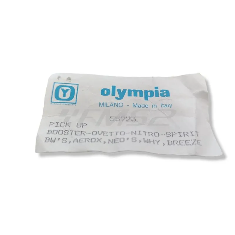 55923 Interruttore (Olympia)