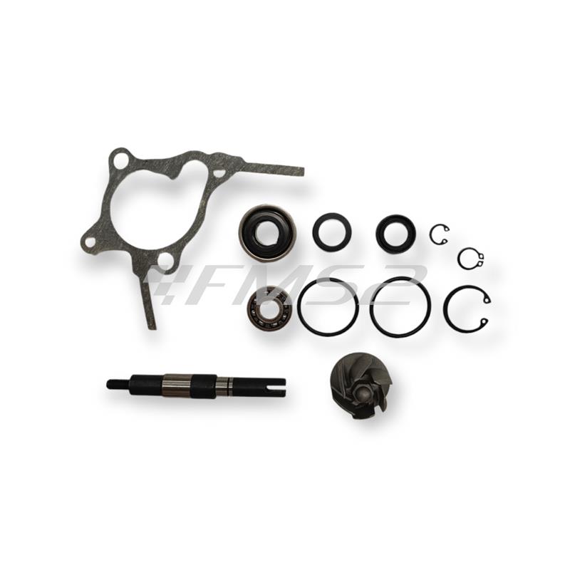 Kit revisione girante pompa acqua maxi scooter (Olympia), ricambio 58225