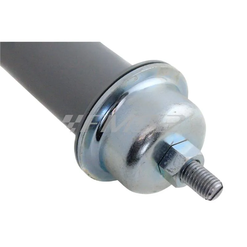 71395 Ammortizzatore (71396=79689) (Olympia)