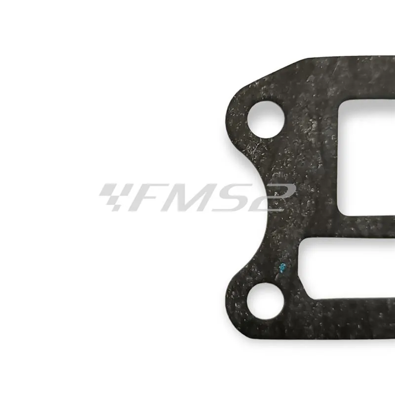 00109111 Guarnizione A ammissione