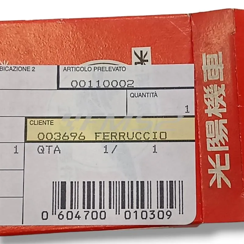 00110002 Segmento