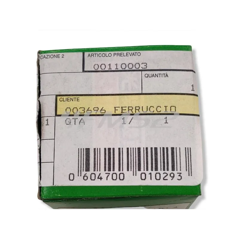 00110003 Pistone