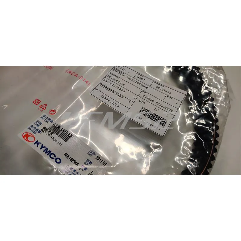 00123443 Cinghia di trasmissione (n6)
