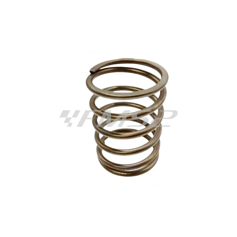 Molla puleggia condotta, ricambio 00127043