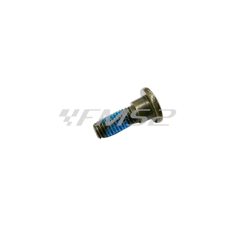 00156556 Vite con rondella di battuta M8 x 1,25 mm e lunghezza vite da battuta 24 mm per fissaggio disco freno scooter 50 e maxi scooter Kymco