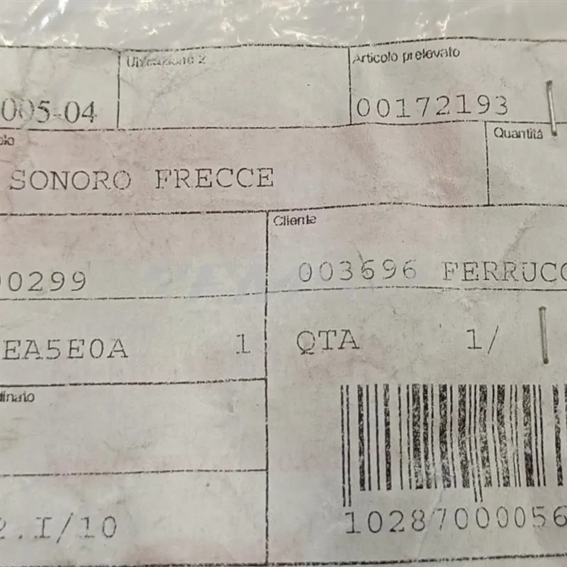 00172193 Relè sonoro frecce