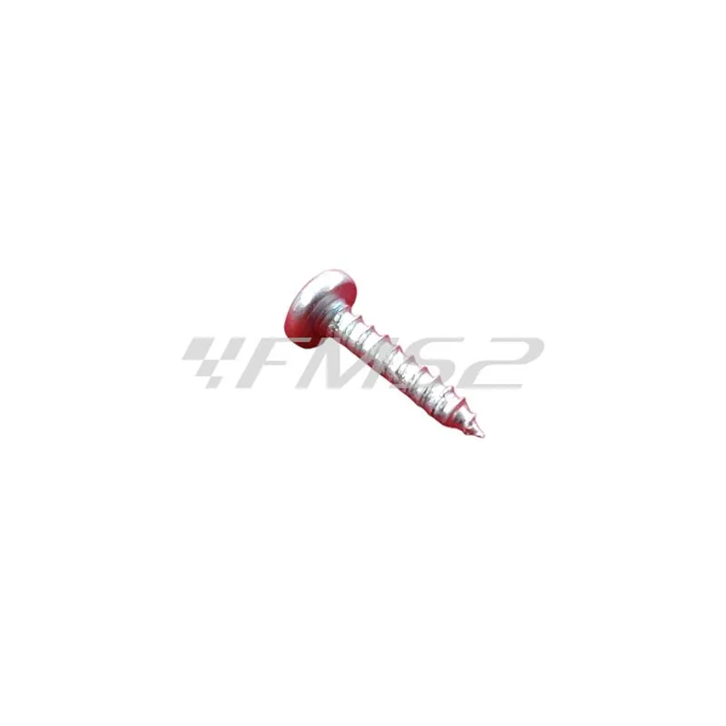 009000 Vite autofilettante ab 2.9x13 uni 6 (Piaggio Gilera)