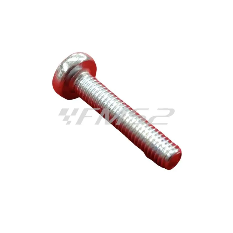 015597 Vite testa cilindrica cacciavite a taglio M5 x 25 (Piaggio Gilera)