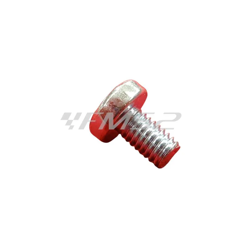 018509 Vite (Piaggio Gilera)