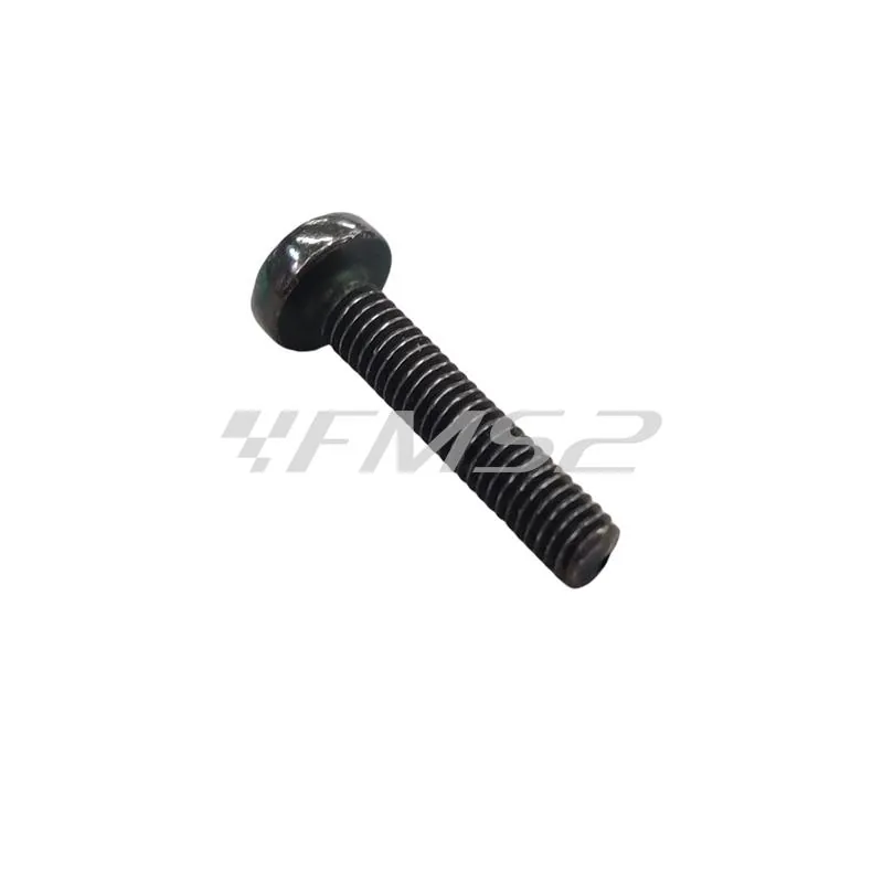 018544 Vite (Piaggio Gilera)