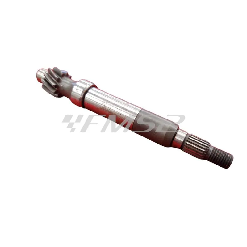 2898325 Albero puleggia condotta  (Piaggio Gilera)